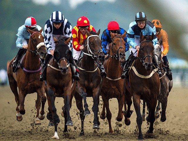 Southwell hosts an eight-race card today