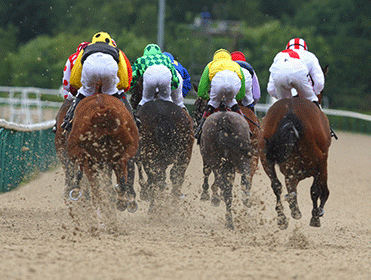 http://betting.betfair.com/horse-racing/All-weather-horses-behind-371.gif