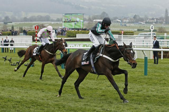 Image result for altior 2016 supreme