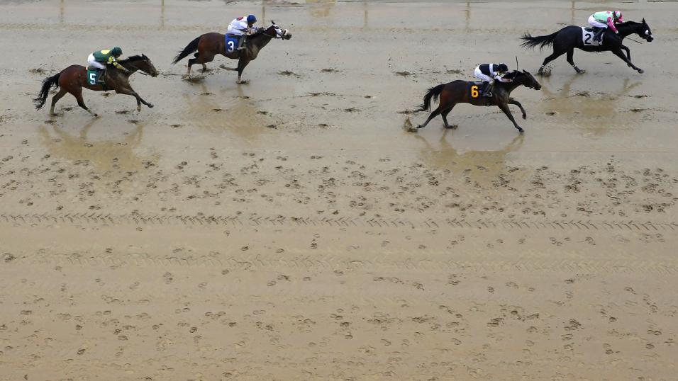 Timeform US SmartPlays: Tuesday 25 January