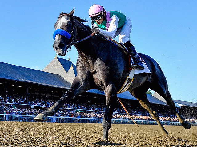 The world's highest-rated horse Arrogate is set to run in Saturday's Dubai World Cup