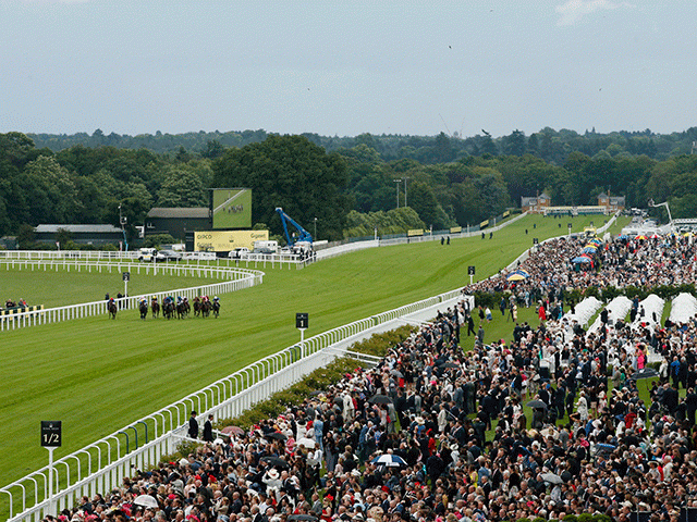There is Group 1 action from Ascot on Saturday