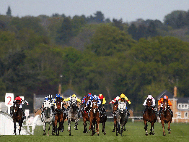 We're racing at Ascot (pictured), Fontwell, Hexham, and Gowran Park this afternoon