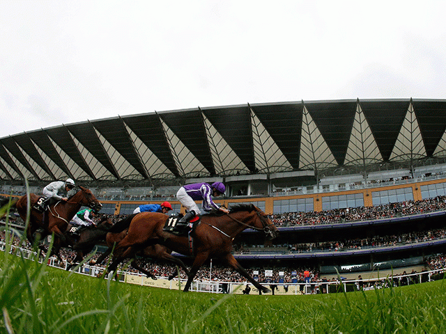 There is high-class Flat racing from Royal Ascot on Saturday