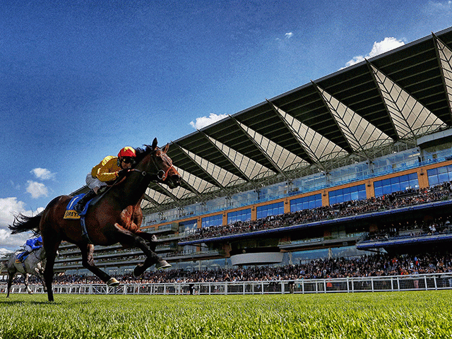 The King George is set to take place at Ascot on Saturday