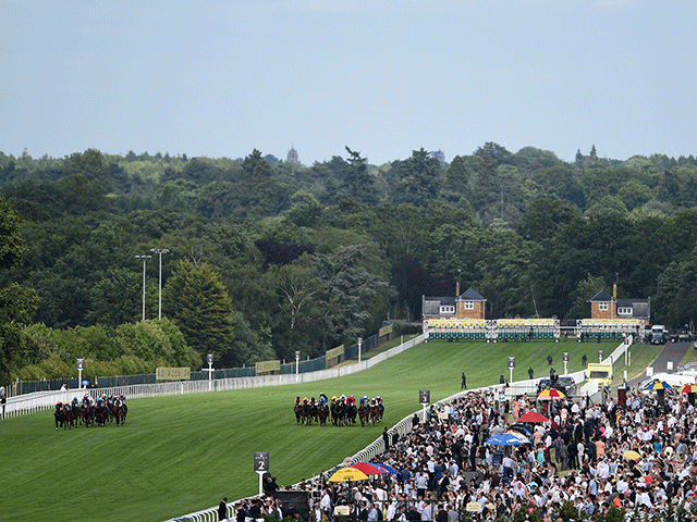 We're racing at Ascot (pictured), Haydock, Newmarket, and Redcar this afternoon