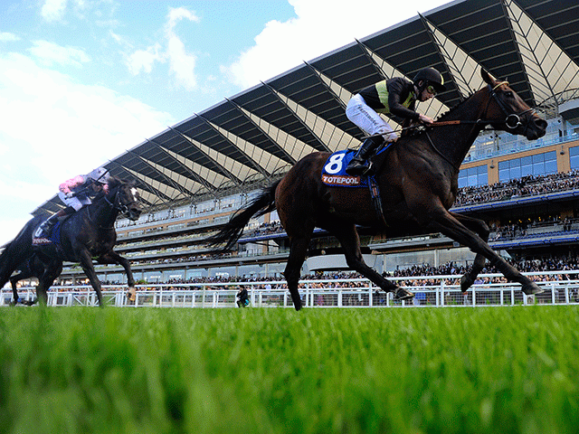 Ascot hosts the finale to UK flat turf season this Saturday. 