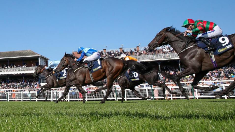 15++ Todays horse racing results from ayr best tips 