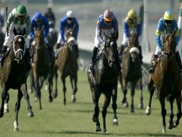 Timeform's US team provide you with three bets for tonight