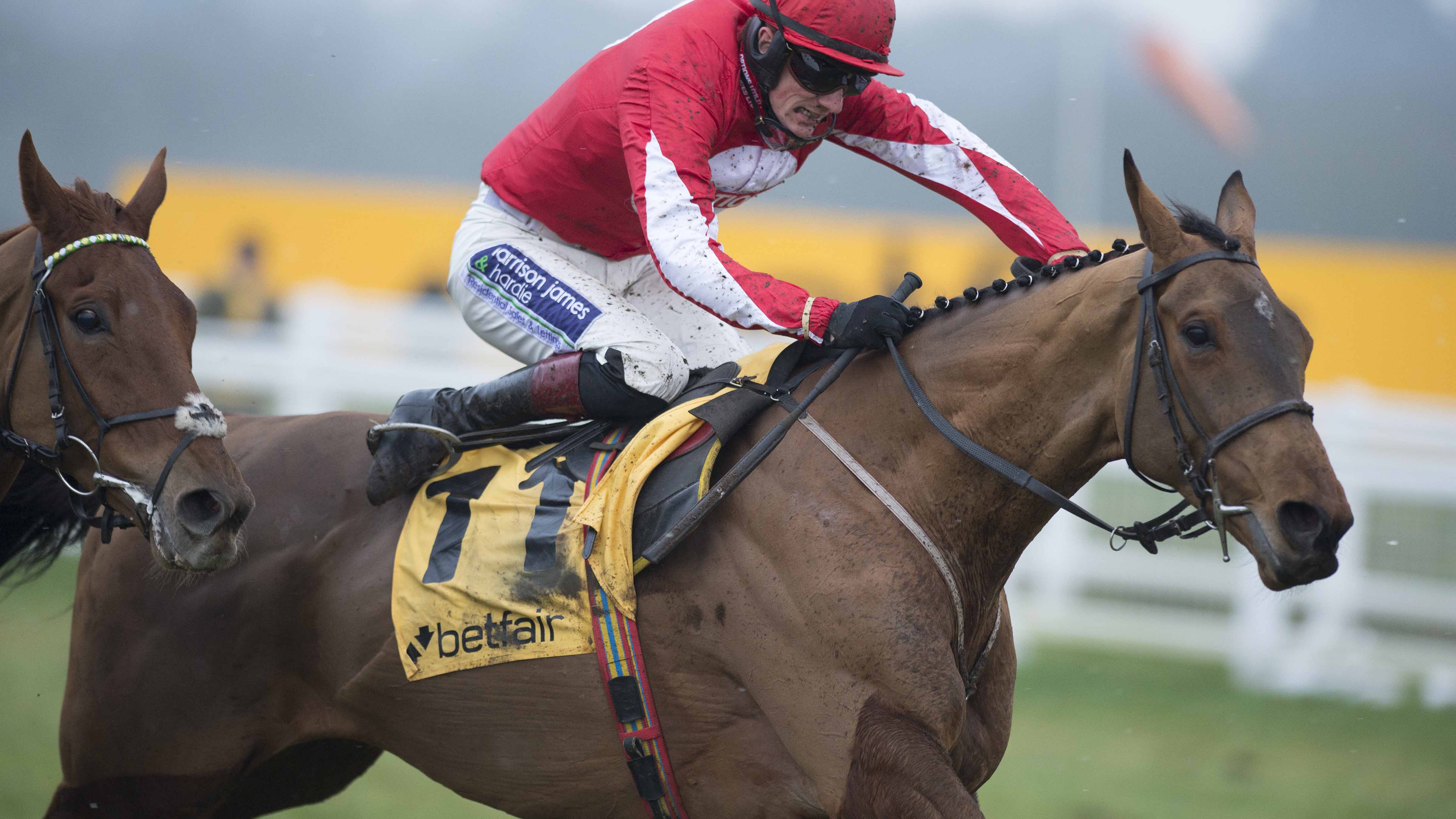Ballyandy Betfair number 1280.jpg