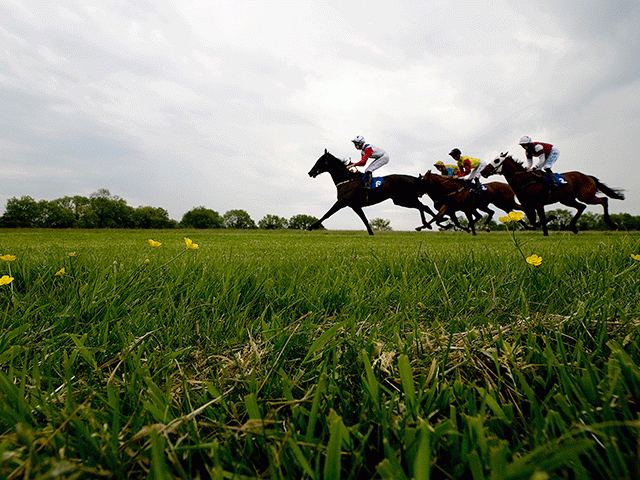 Bath is one of four racecourses staging meetings today