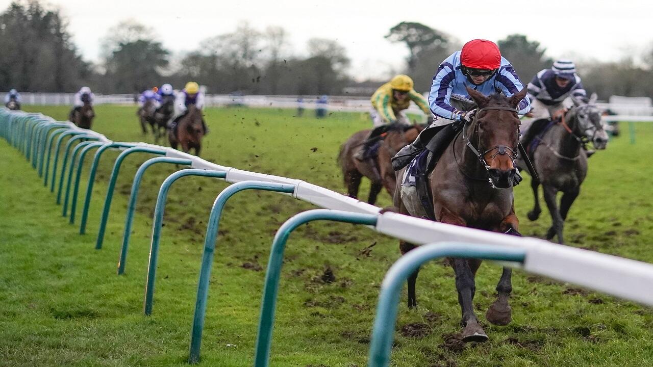 Rhys Williams' Friday Racing Tips: Morfee to improve for longer trip - Vimarsana News