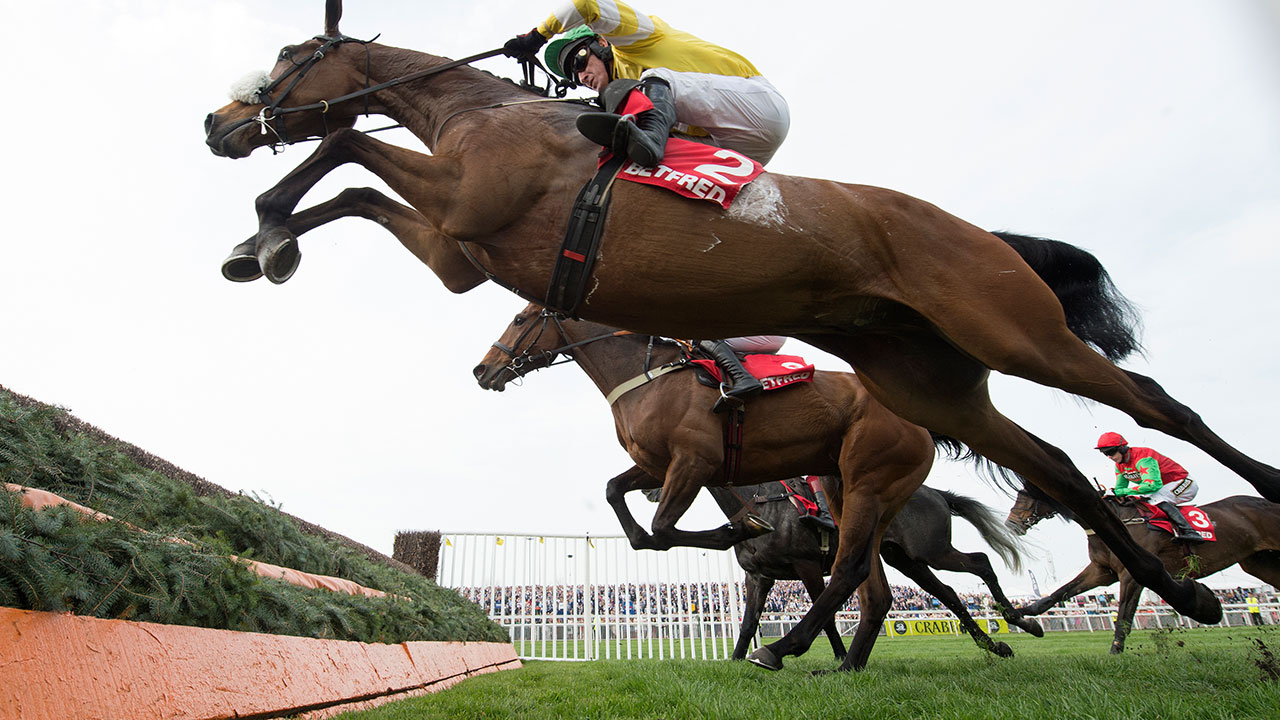 Caroles-destrier-leap-1280.jpg