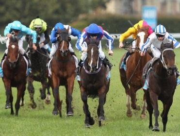 http://betting.betfair.com/horse-racing/Caulfield_Finish.jpg