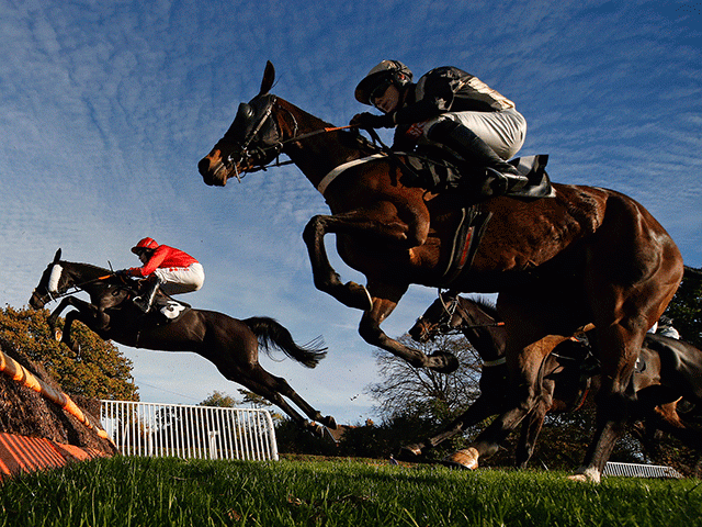 The market movers are in for day one of this year's Cheltenham Festival