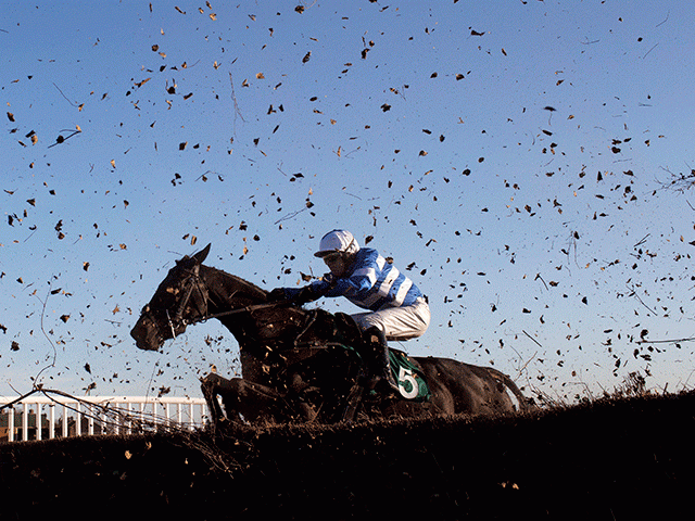 Timeform's free Shortlist comes from Bangor on Monday