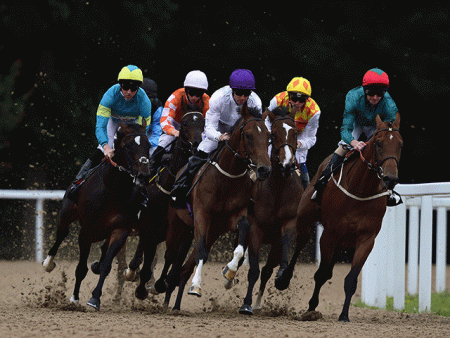 https://betting.betfair.com/horse-racing/Chelmsford-City-bunch-on-corner-640.gif