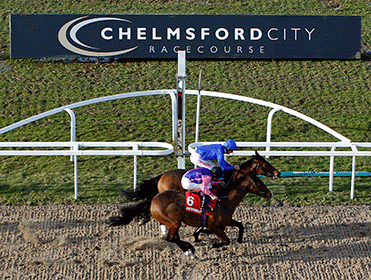 We're racing at Chelmsford City tonight