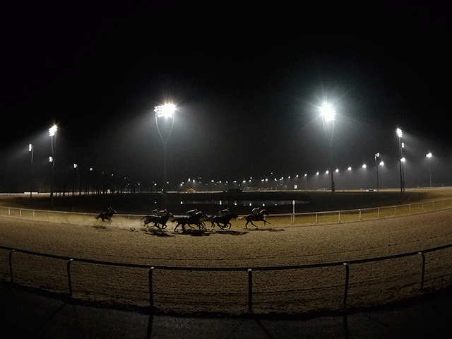 We're racing at Chelmsford City this evening