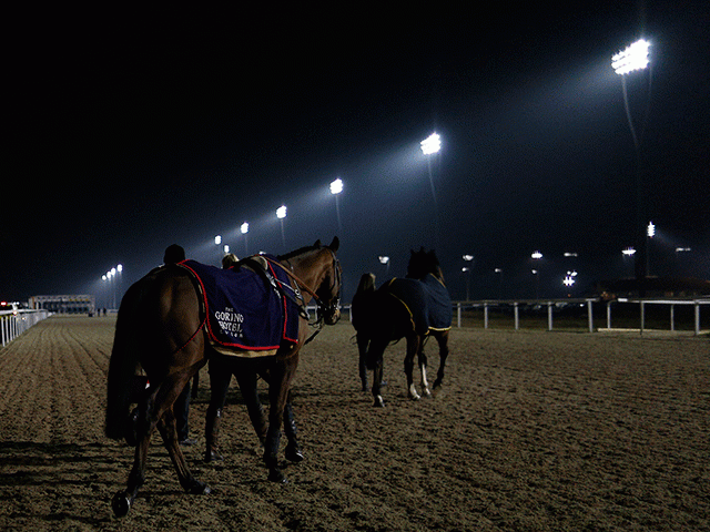 We're racing under the floodlights at Chelmsford City tonight