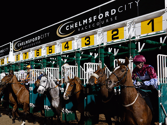 There is Flat racing from Chelmsford on Thursday