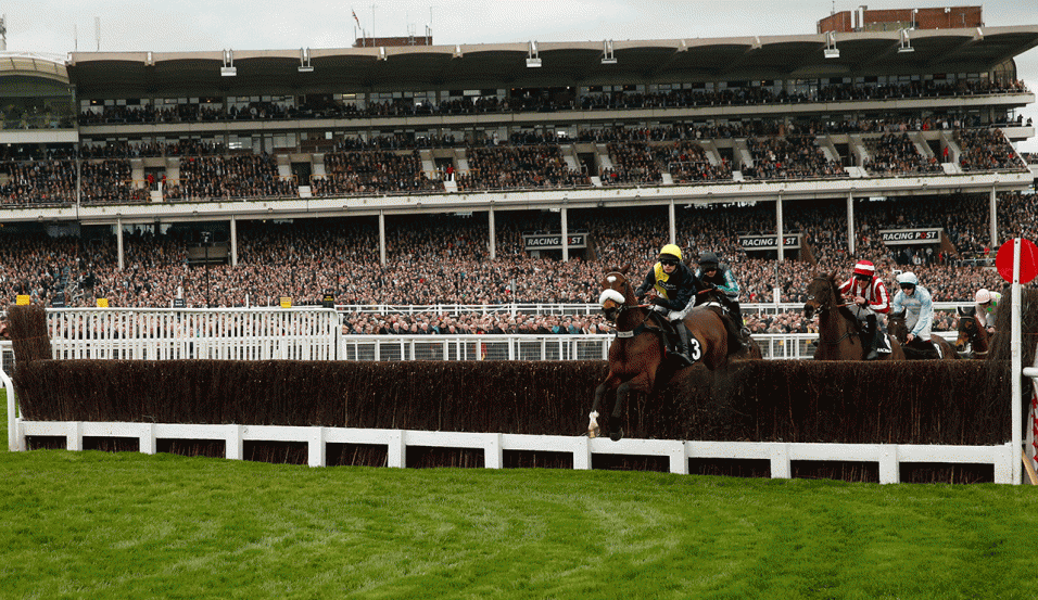 There is top-quality action at Cheltenham on New Year's Day