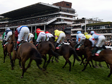 Which Christmas winners will prevail at Cheltenham?