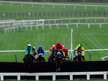 http://betting.betfair.com/horse-racing/Cheltenham-hurdle-long-shot-371.gif