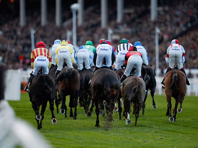Cheltenham is just one of Saturday's five afternoon meetings