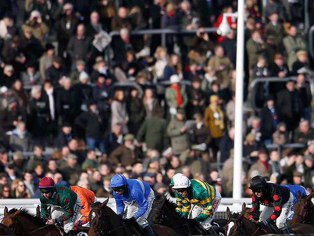 There is high-class jumps racing from Cheltenham on Saturday