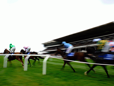 http://betting.betfair.com/horse-racing/Cheltenham-mid-race-blur-371.gif