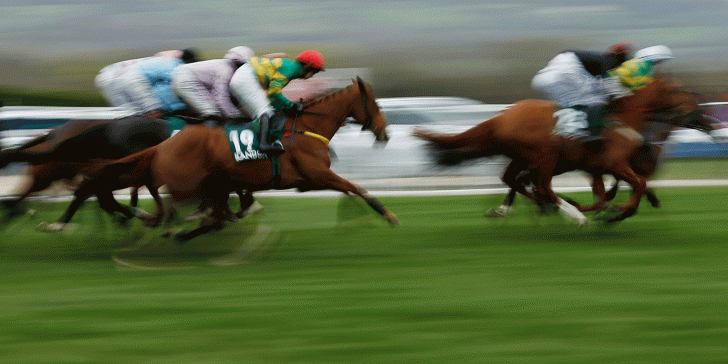 There is a high-class card at Cheltenham on Saturday, which includes the Cleeve Hurdle