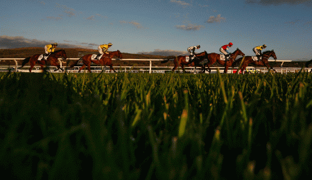 https://betting.betfair.com/horse-racing/Cheltenham-runners-in-line-1280.gif