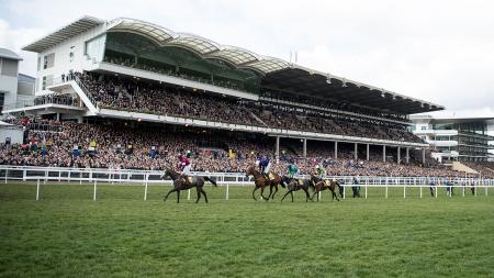 https://betting.betfair.com/horse-racing/Cheltenham-wide-shot-1280.jpg