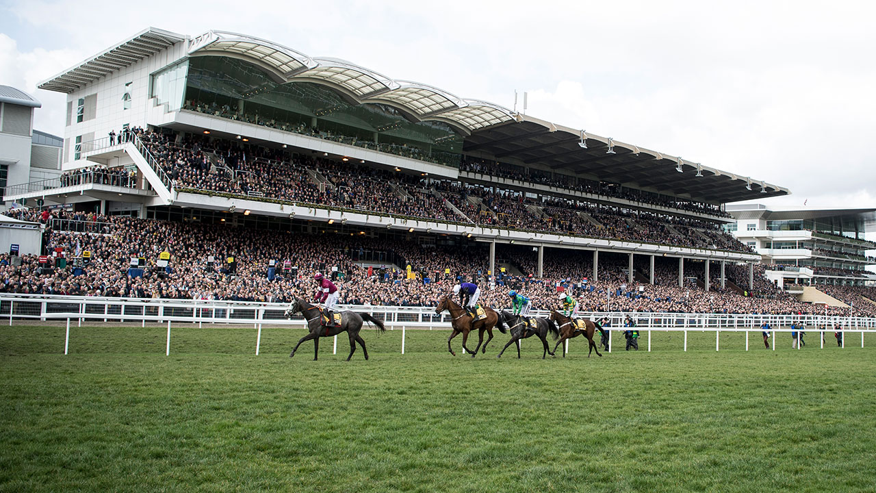 Cheltenham-wide-shot-1280.jpg