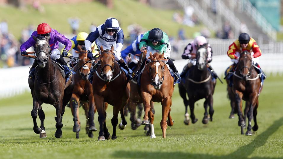Saturday's action includes a Flat card at Chester
