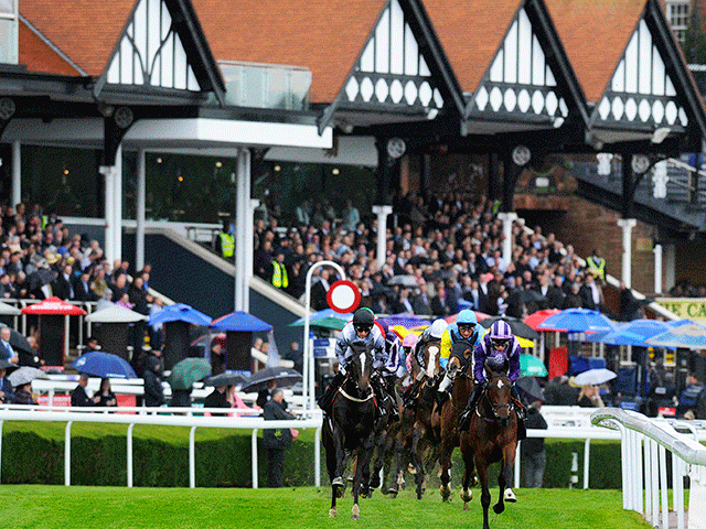 Today's best bet Vibe Queen runs at Chester