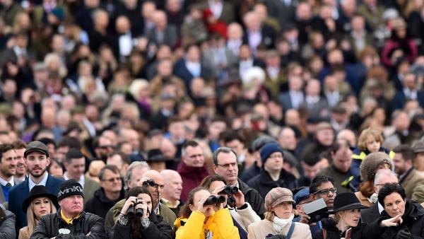 Crowd watch action at Cheltenham 1280.jpg