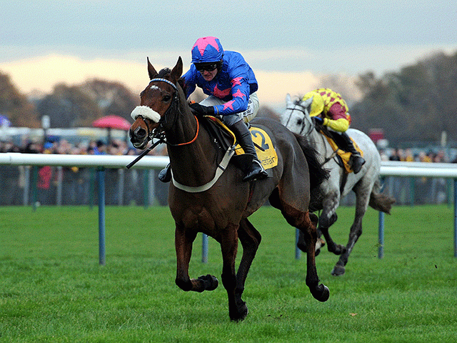 Cue Card has shortened for the Gold Cup after his easy Betfair Chase win