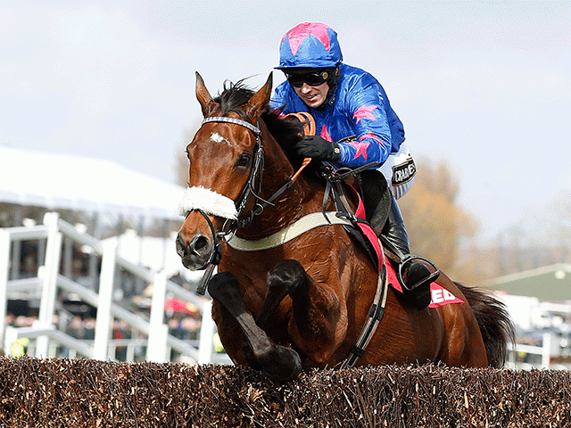 Can Cue Card beat his two shorter-priced stablemates in the Gold Cup?