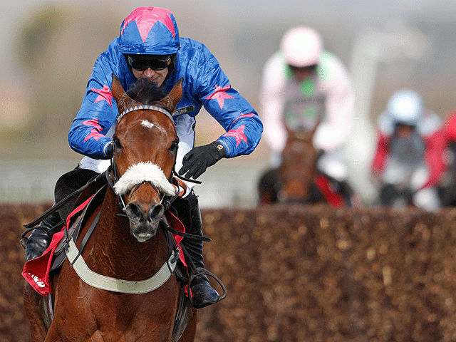 Cue Card is firm favourite to win the Betfair Chase on Saturday