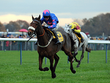 Cue Card won the Betfair Chase in 2013