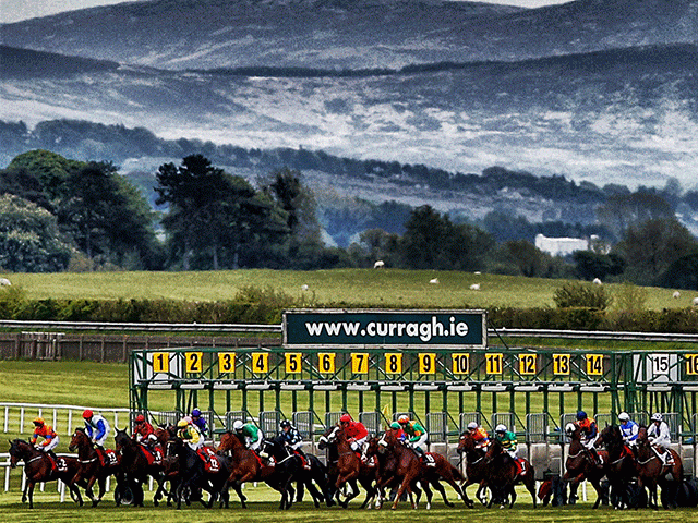 All eyes on the Curragh today
