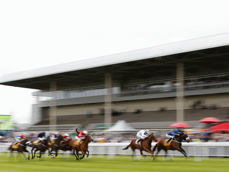 https://betting.betfair.com/horse-racing/Curragh-stands-action-640.gif