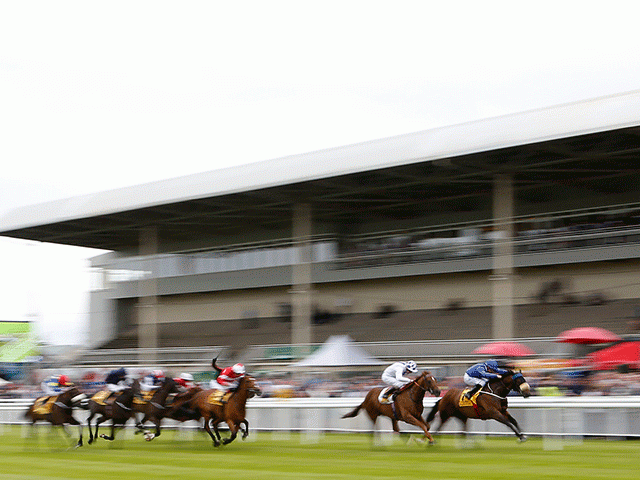 The Curragh is one of today's four afternoon race meetings