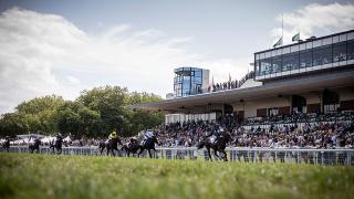 French Racing Tips Irish Hold All The Aces In Deauville Feature