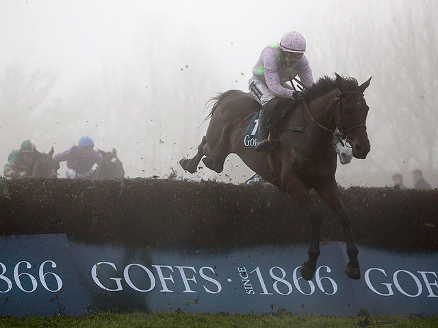 Djakadam has been well-backed for today's Lexus Chase