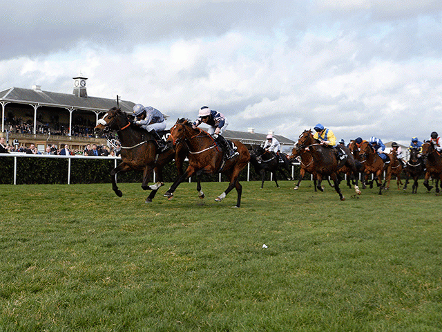 We're racing at Doncaster (pictured), Sandown and Newton Abbot this afternoon