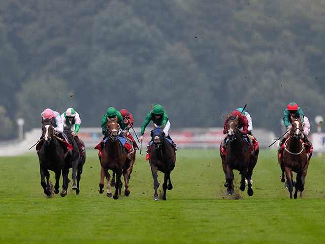 The St Leger is the final classic of the British Flat season