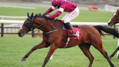 Jumps racing